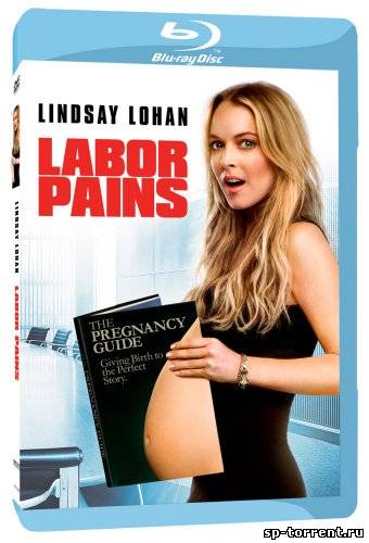 Временно беременна / Labor Pains (2009) BDRip
